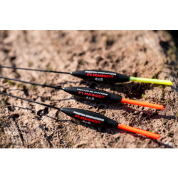 Pluta Preston - F1 Maggot 4x10